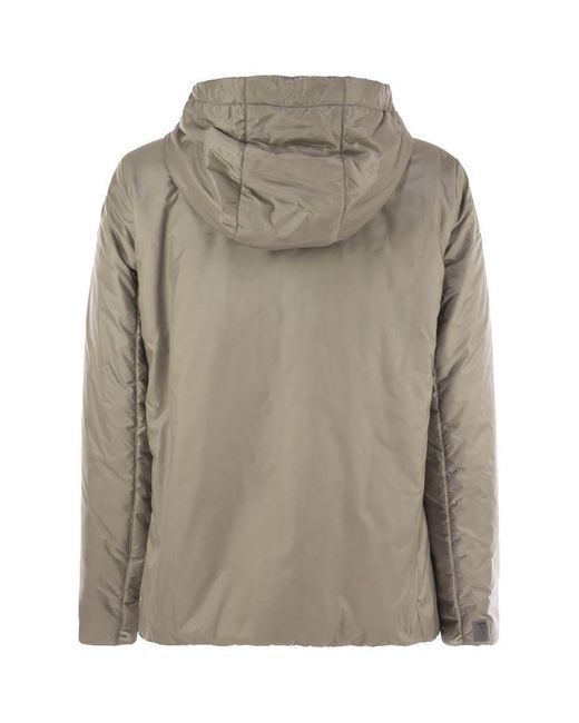 Max Mara Gray Greenh