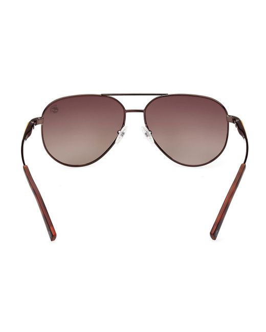 Timberland Brown Sunglasses