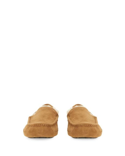 Ugg Brown Linscot" Slip-On Loafer for men