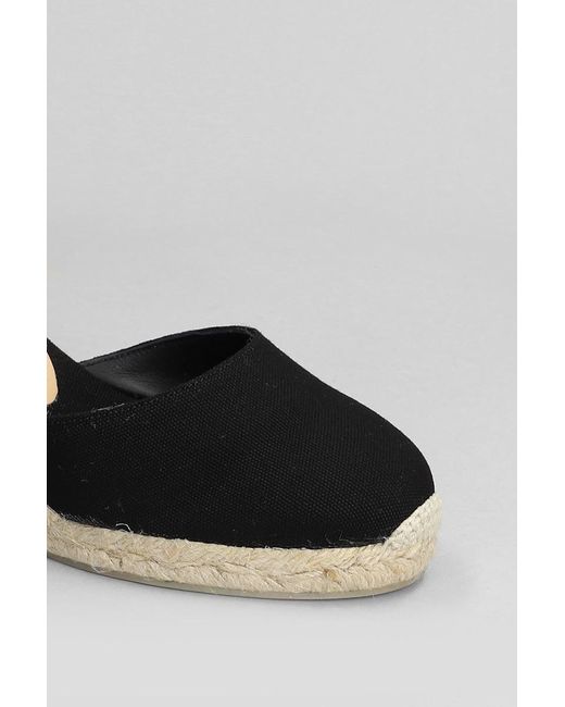 Castaner Black Carina-6-001 Wedges