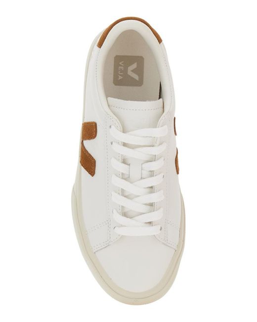 Veja White Campo Low-Top Sneakers