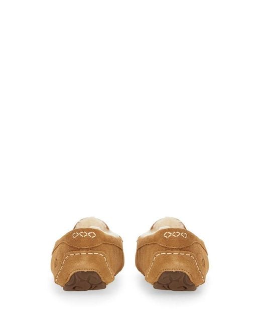 Ugg Brown Slipper "Ansley"