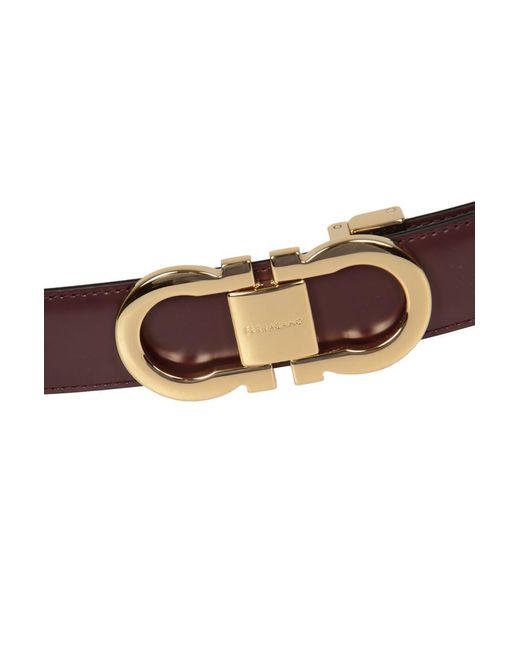 Ferragamo Brown Belts for men