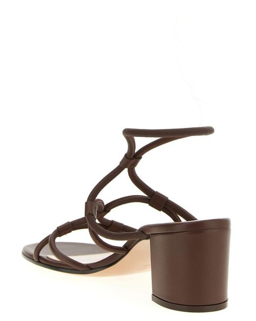 Gianvito Rossi Brown 'G32601' Sandals