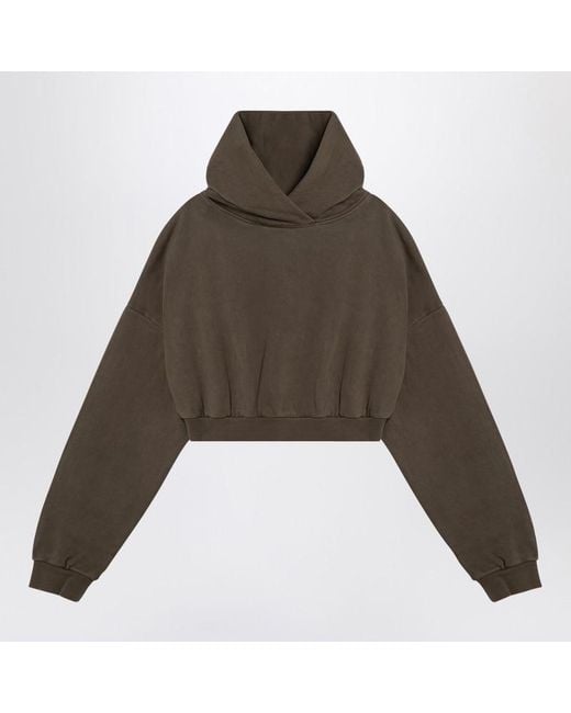 Entire studios Brown Military Cropped Sweatshirt