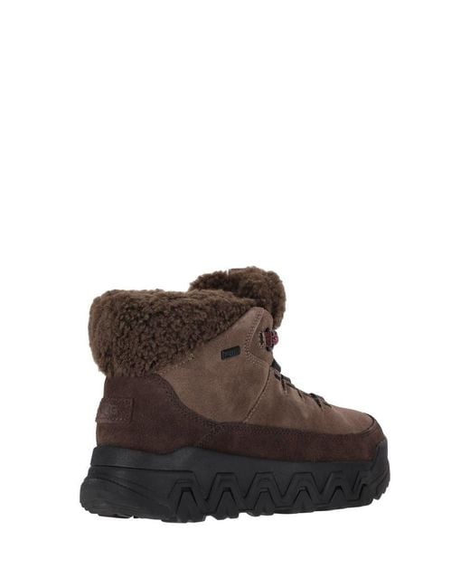 Ugg Brown W Terretrail Cozy Lace