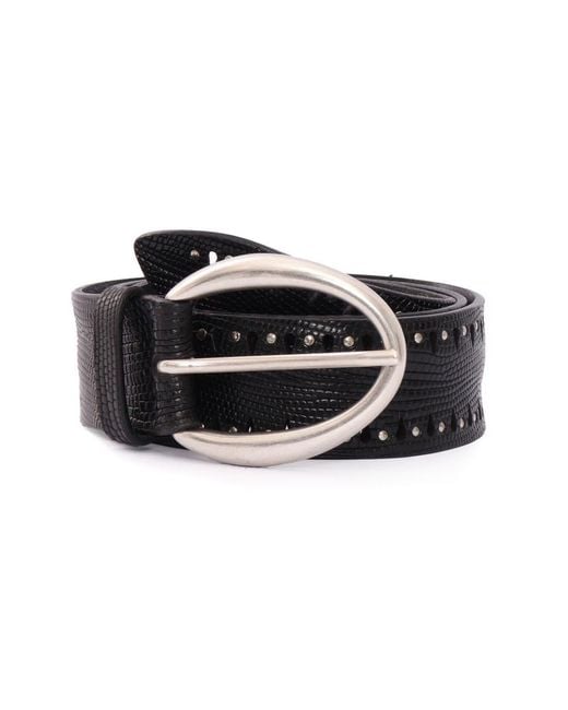 Claudio Orciani Black Belt