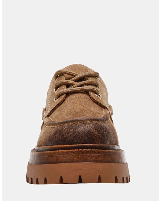 Steve Madden Brown Low Shoes