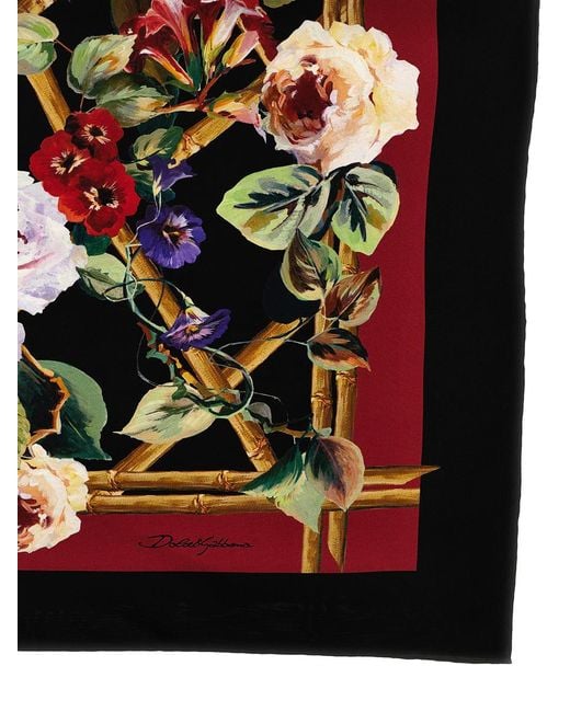 Dolce & Gabbana Multicolor Floral Print Scarf Scarves, Foulards