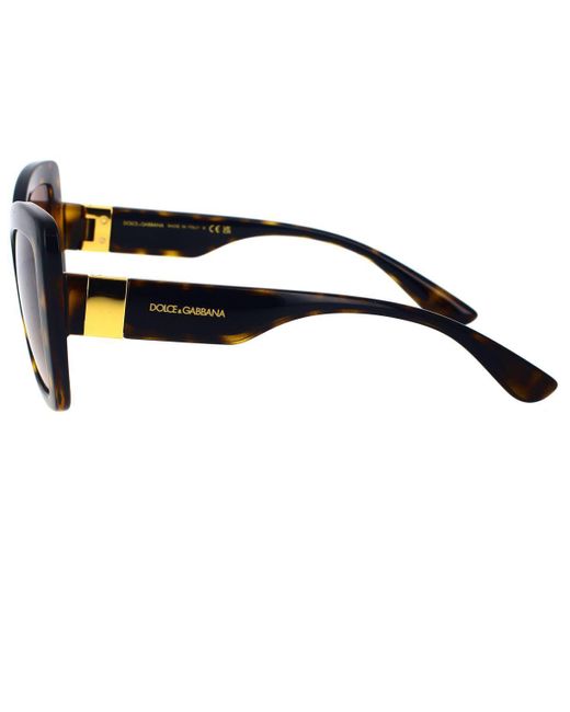 Dolce & Gabbana Brown Sunglasses