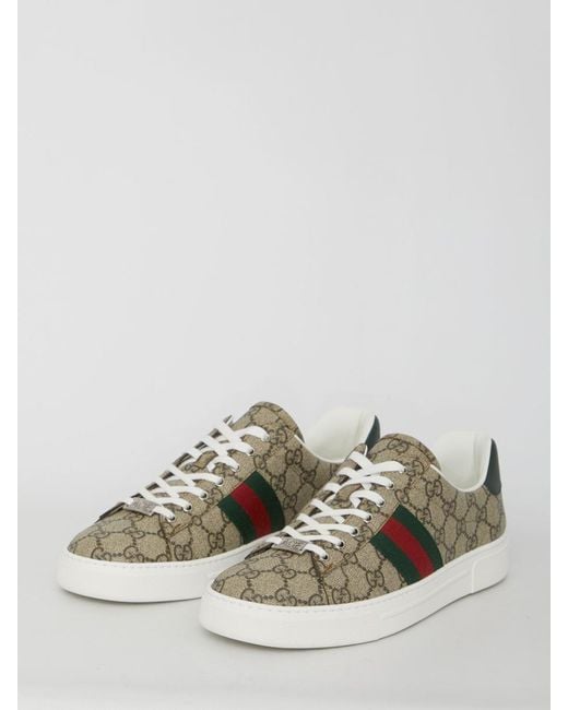 Gucci Brown Ace Sneaker With Web