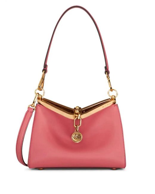 Etro Pink Bags