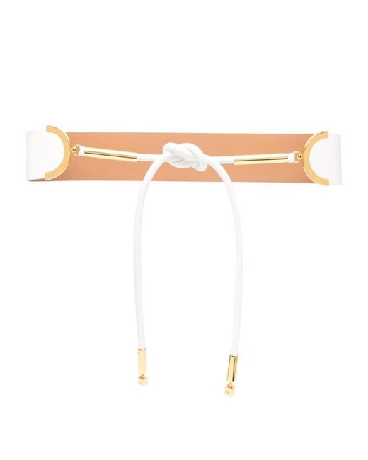 Elisabetta Franchi Knotfastening Belt in White Lyst