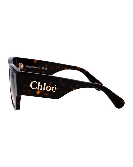 Chloé Brown Chloe Sunglasses