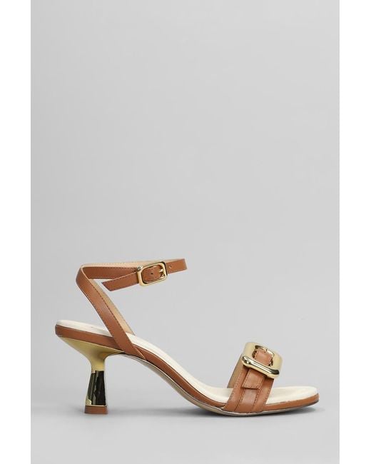 GOLD&ROUGE Multicolor Tea Sandals Color