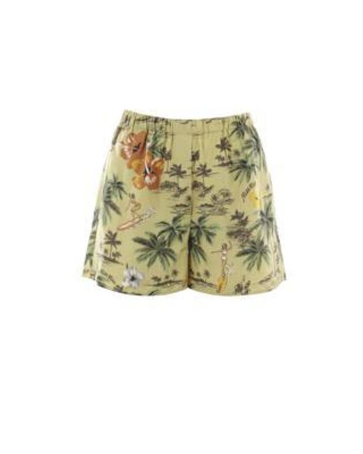 Miu Miu Green Shorts