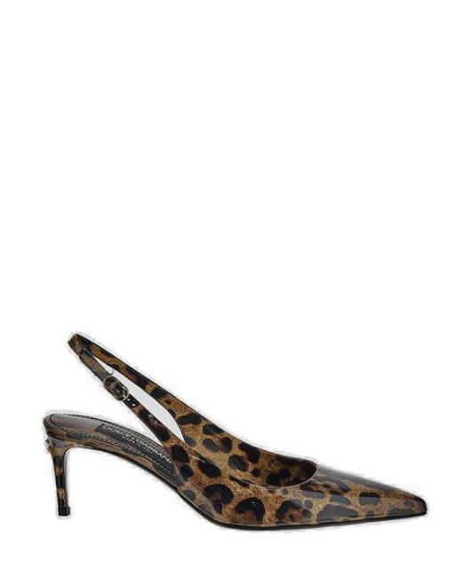 Dolce & Gabbana Brown Leopard Print Slingback