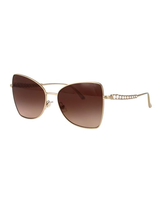 Jimmy Choo Brown Sunglasses