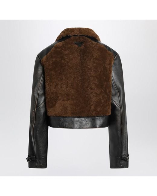 Prada Brown And Jacket