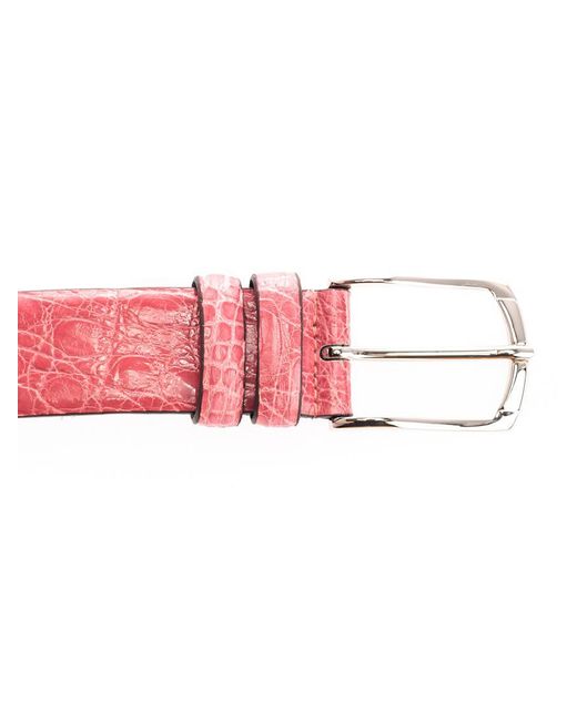 D'Amico Pink Belts for men