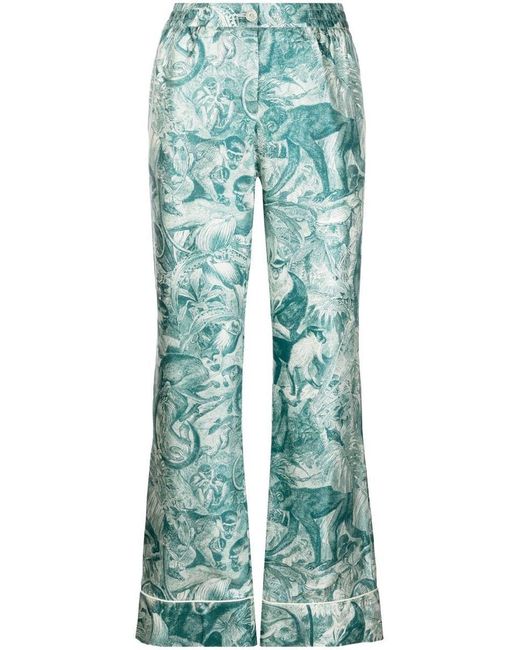 F.R.S For Restless Sleepers Blue Cotton Trousers With Print