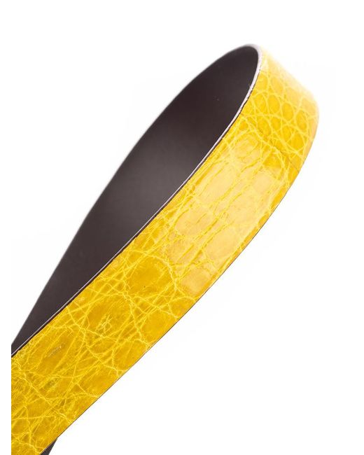 D'Amico Yellow Belts for men