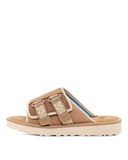 Ugg Natural Sneakers for men