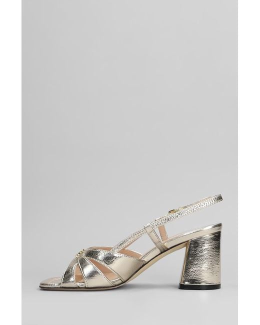 Evaluna Multicolor Sandals