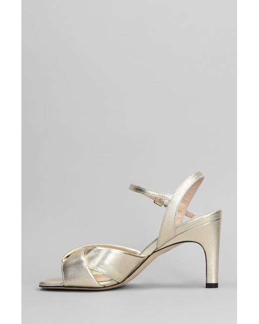 Evaluna Multicolor Sandals