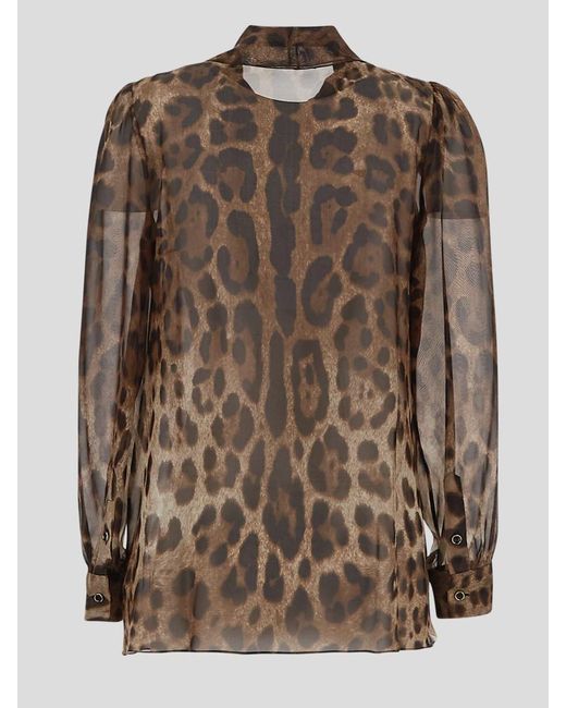 Dolce & Gabbana Brown Leopard Print Chiffon Blouse