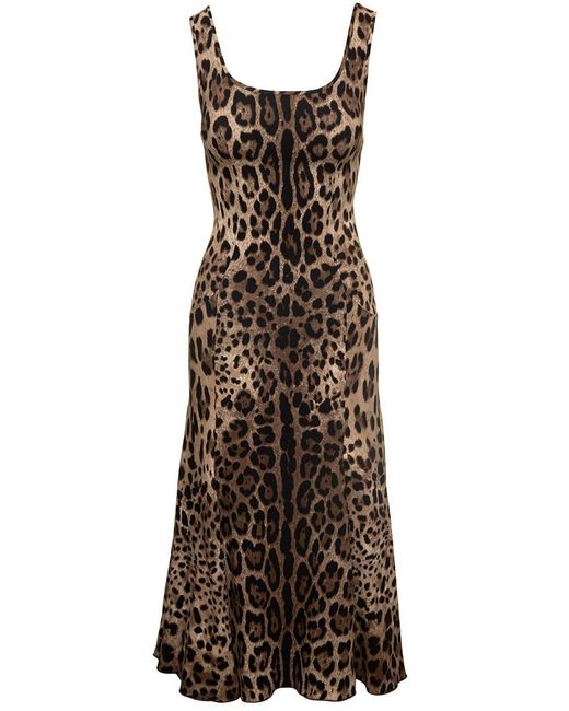 Dolce & Gabbana Mini Brown Dress With All-over Leo Print In Stretch Viscose Woman