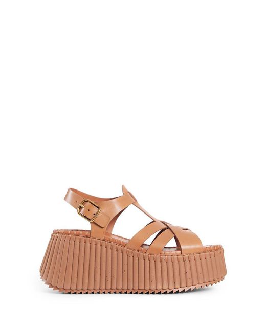 Chloé Brown Calfskin Sandals