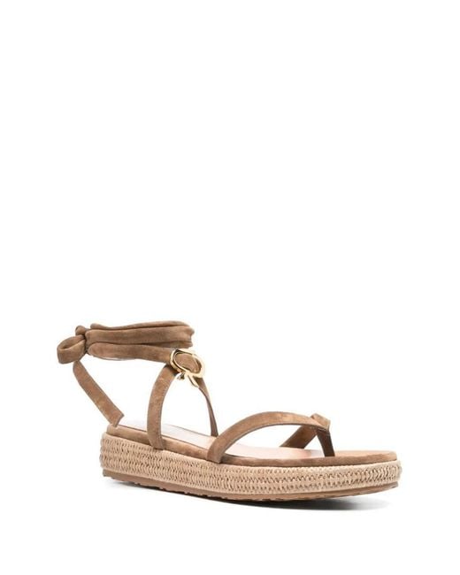 Gianvito Rossi Natural Flat Sandal