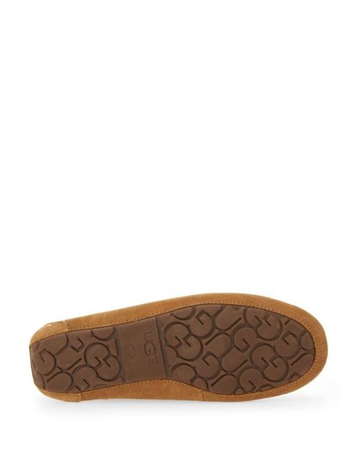 Ugg Brown Slipper "Ansley"