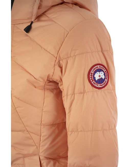 Canada Goose Brown Abbott - Hooded Down Jacket