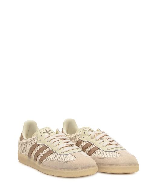 Adidas Originals Natural Samba Og Sneaker for men