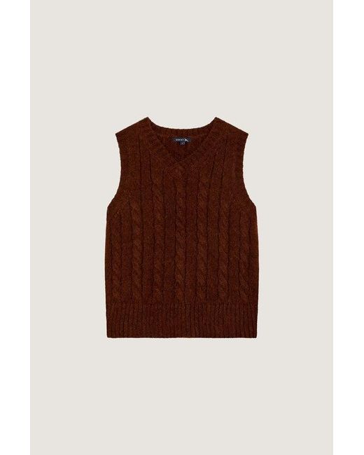 Soeur Brown Sweater