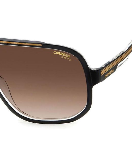 Carrera Brown Sunglasses