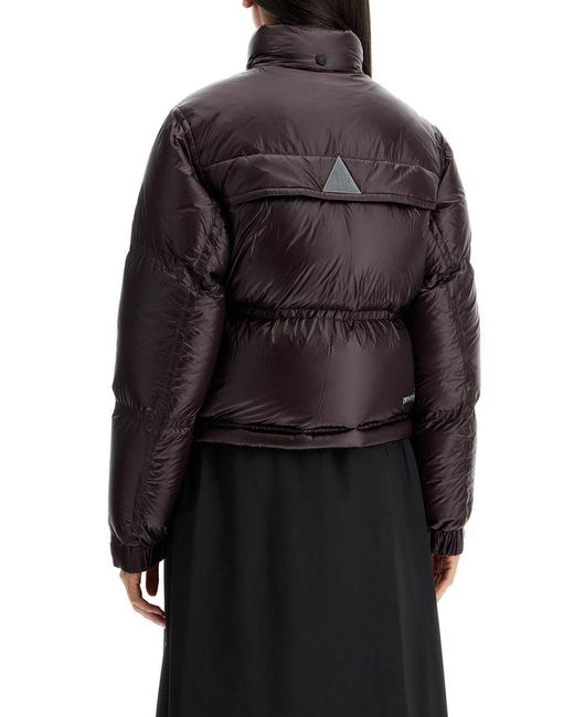 Moncler Black Down Jackets