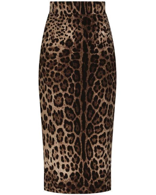Dolce & Gabbana Brown Calf Length Leopard Skirt
