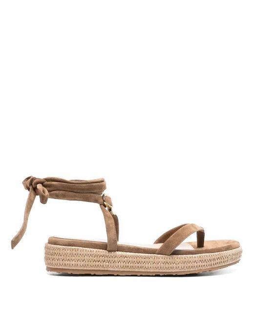 Gianvito Rossi Natural Flat Sandal
