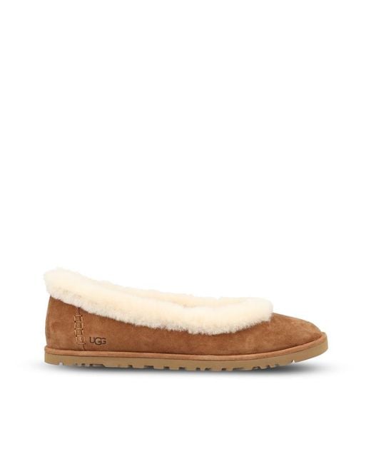 Ugg Brown Low Shoes
