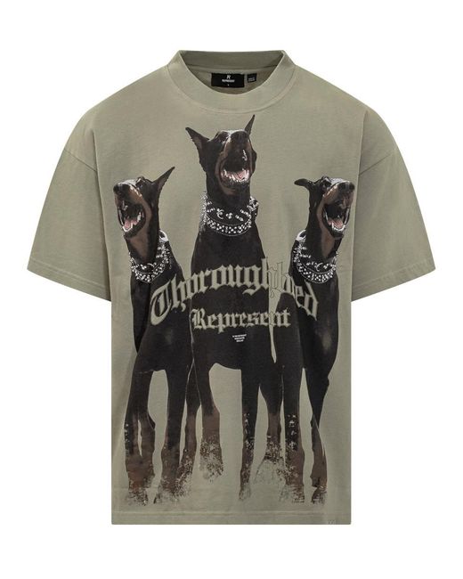 Represent Gray T-shirt With Doberman Print for men
