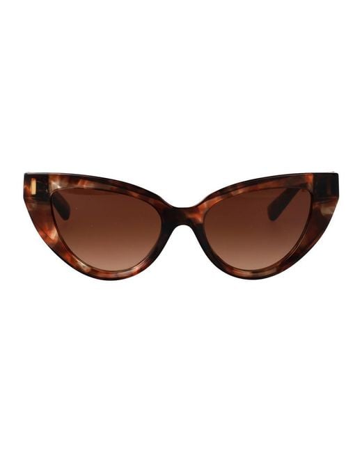 Dolce & Gabbana Brown Sunglasses