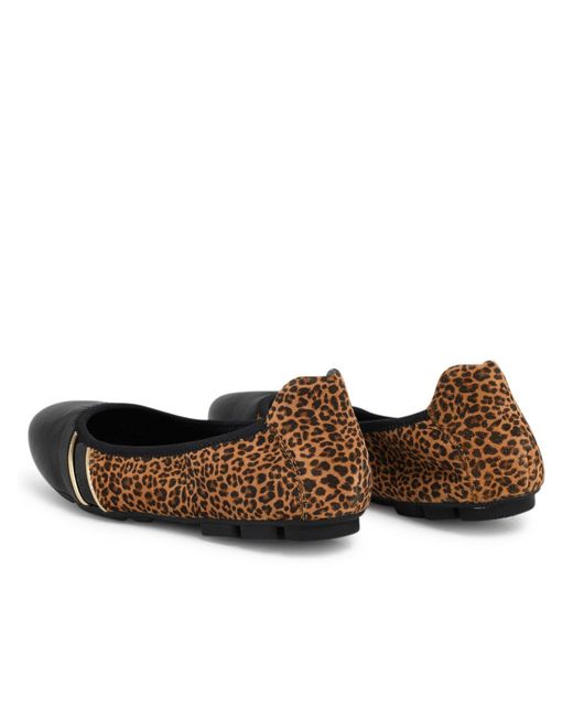 hogan rebel leopardate