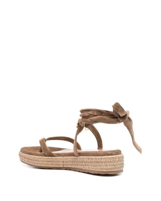 Gianvito Rossi Natural Flat Sandal