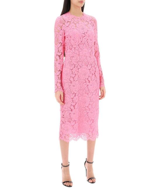 Dolce & Gabbana Pink Midi Dress In Floral Cordonnet Lace