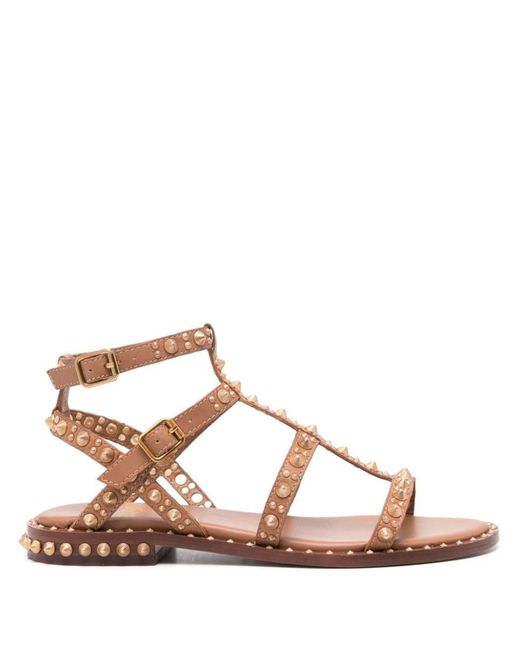 Ash Brown Pepsy Studded Leather Sandals