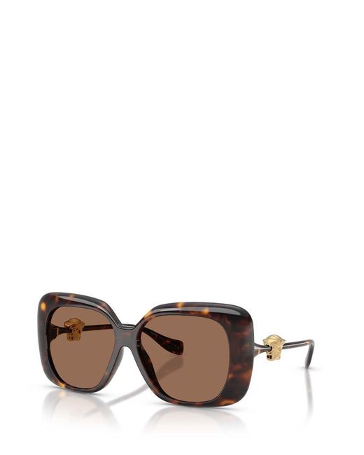 Versace Brown Sunglasses