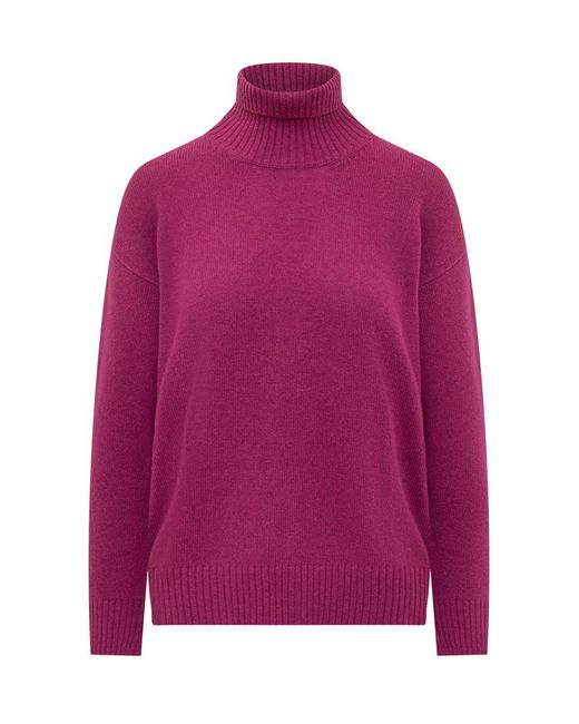 Jucca Pink Turtleneck Sweater